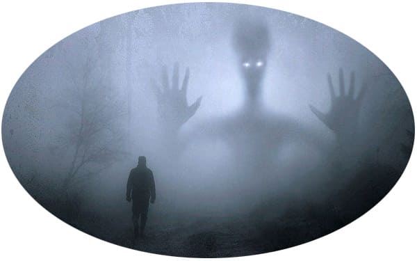 �����������